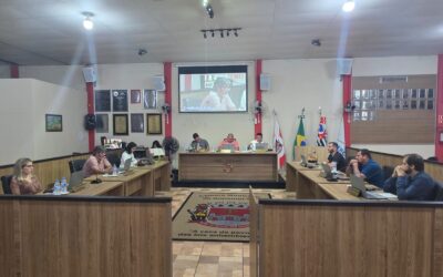 Anhembi: Câmara aprova em 1° turno mudanças na Lei Orgânica e cobra melhorias em transporte e saúde