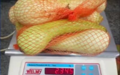 Anhembi: Vereadores fiscalizam merenda escolar e apontam possível irregularidade na entrega de alimentos